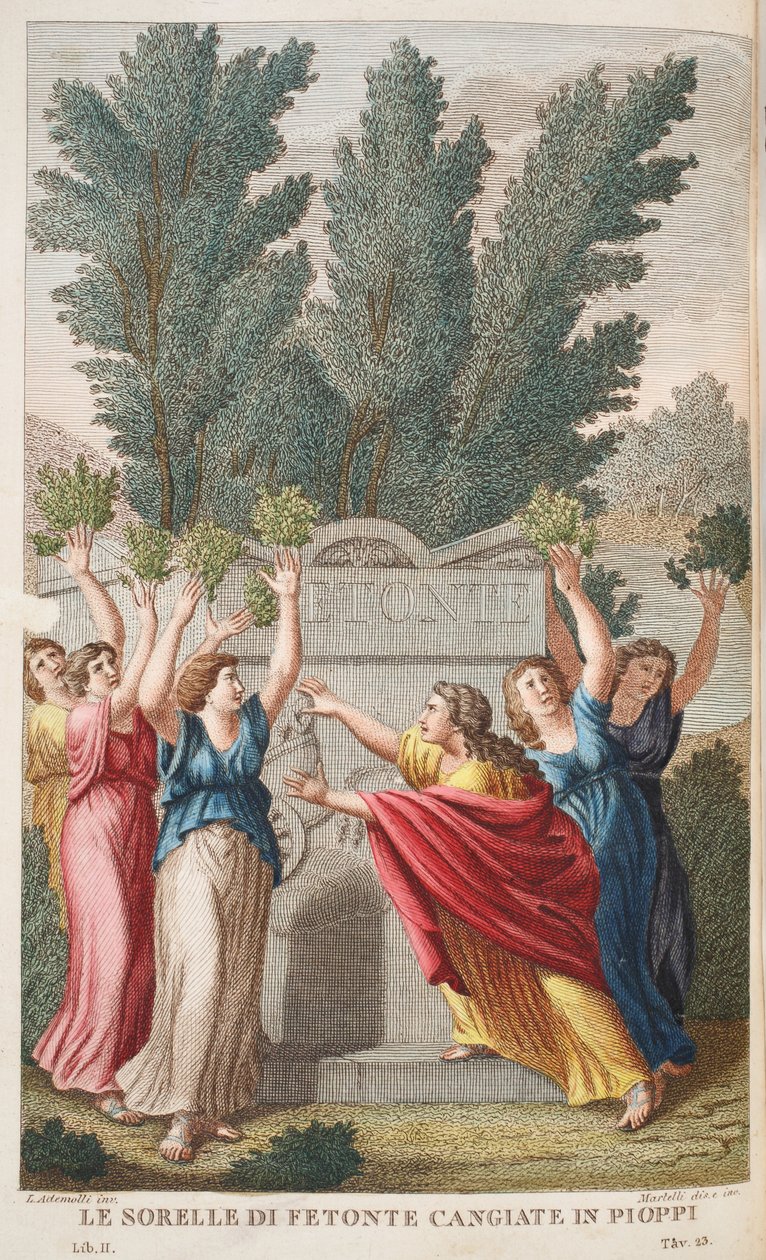 Heliades ind i træer, der giver Amber eller Le Sorelle di Fetonte Cangiante i Pioppi, illustration fra Ovids Metamorphoses, Firenze, 1832 (håndfarvet gravering) af Luigi Ademollo