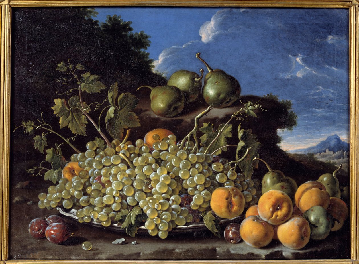 Druer, pærer, ferskner og blommer Maleri af Luis Melendez (1716-1780) af Luis Egidio Menendez or Melendez