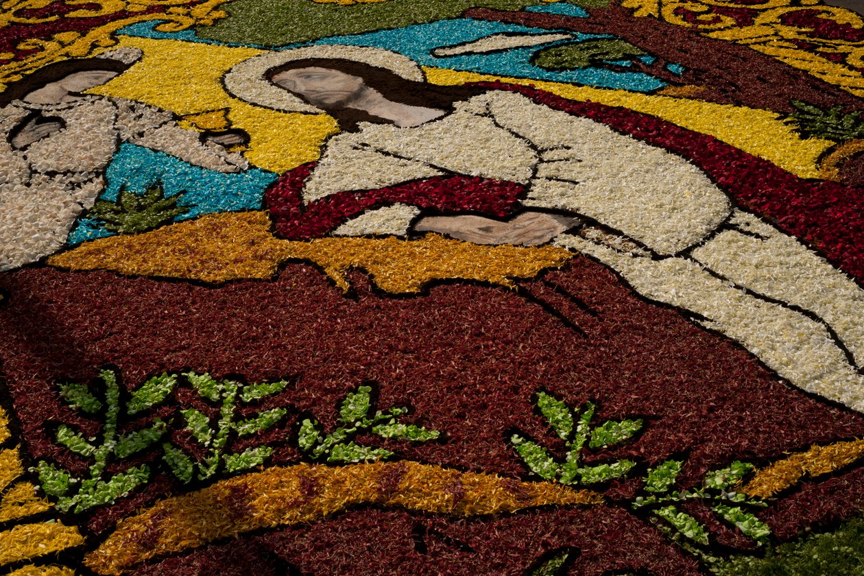 Holy Week Surco Flower Carpet, Lima, Peru, 2015. af Luis Rosendo.