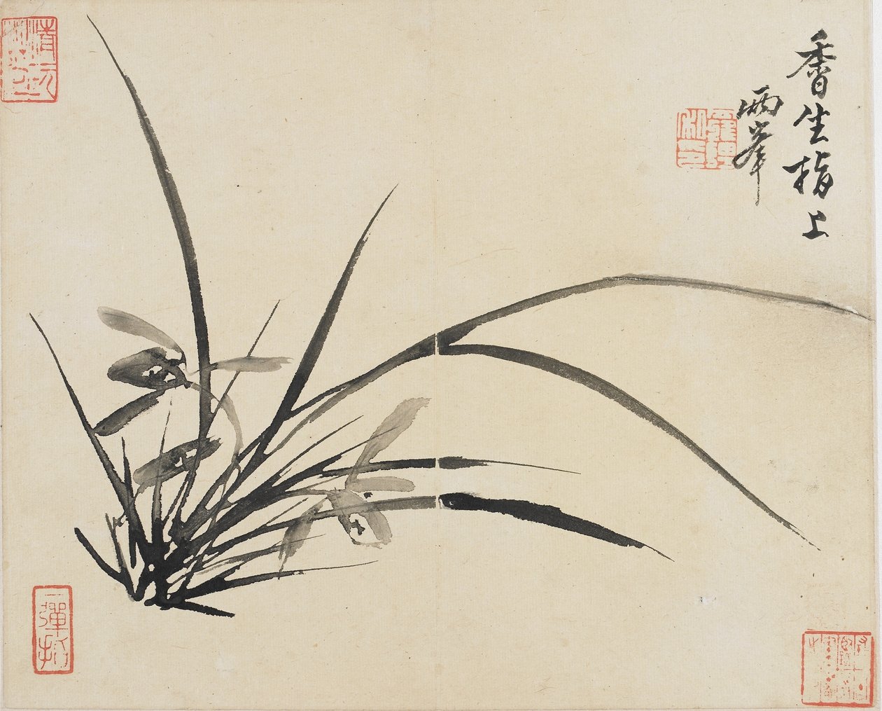 Landskaber, blomster og fugle: Orchid, Qing-dynastiet, 1780 (blæk på papir) af Luo Ping