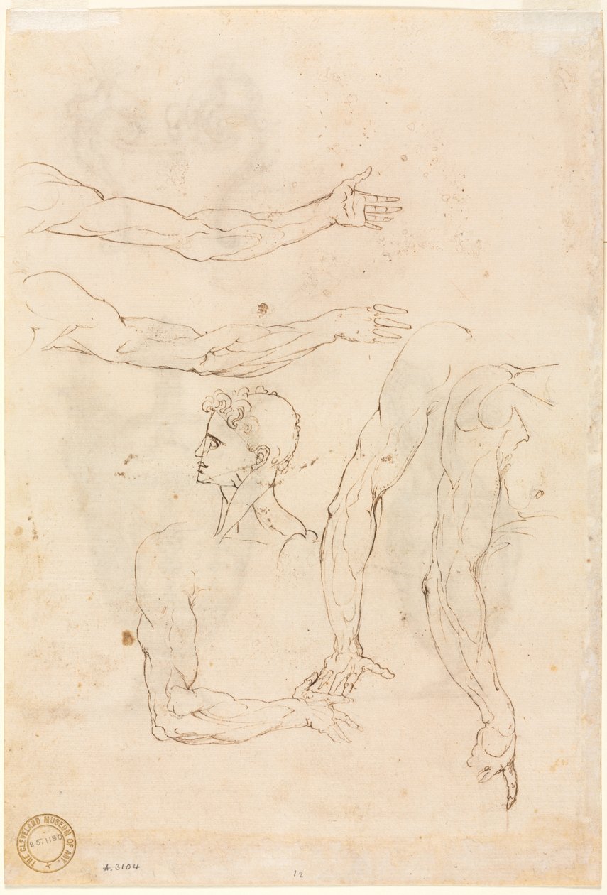 Skitser af Five Arms and a Head verso, midten af 1500-tallet. af Luzio Romano