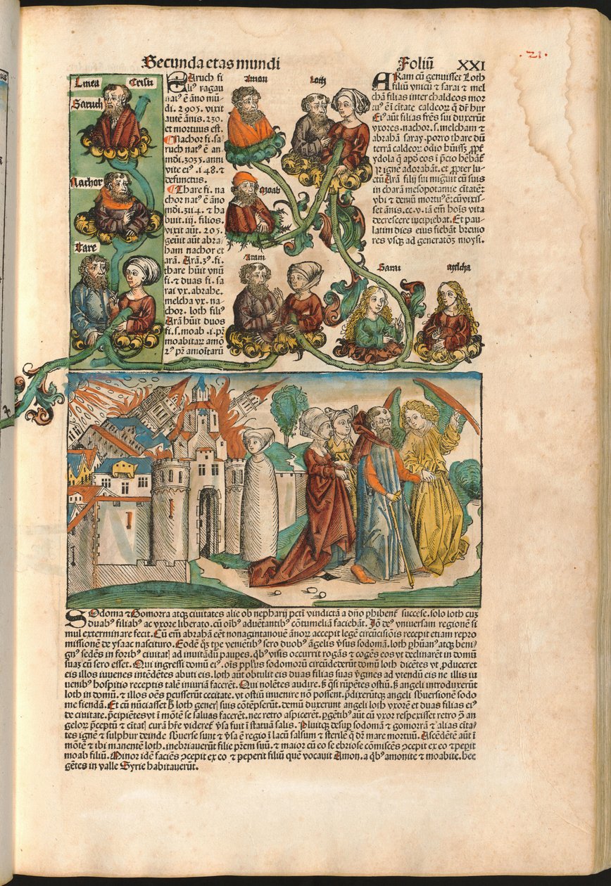 Labans slægtstræ, fra Nürnbergkrøniken af Hartmann Schedel (1440-1514) trykt i 1493 (træsnit) af M. and Pleydenwurff W. Wolgemuth