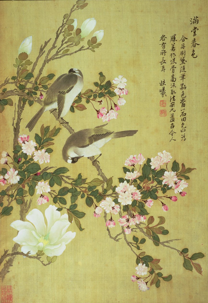 Crabapple, Magnolia og Baitou fugle af Ma Yuanyu