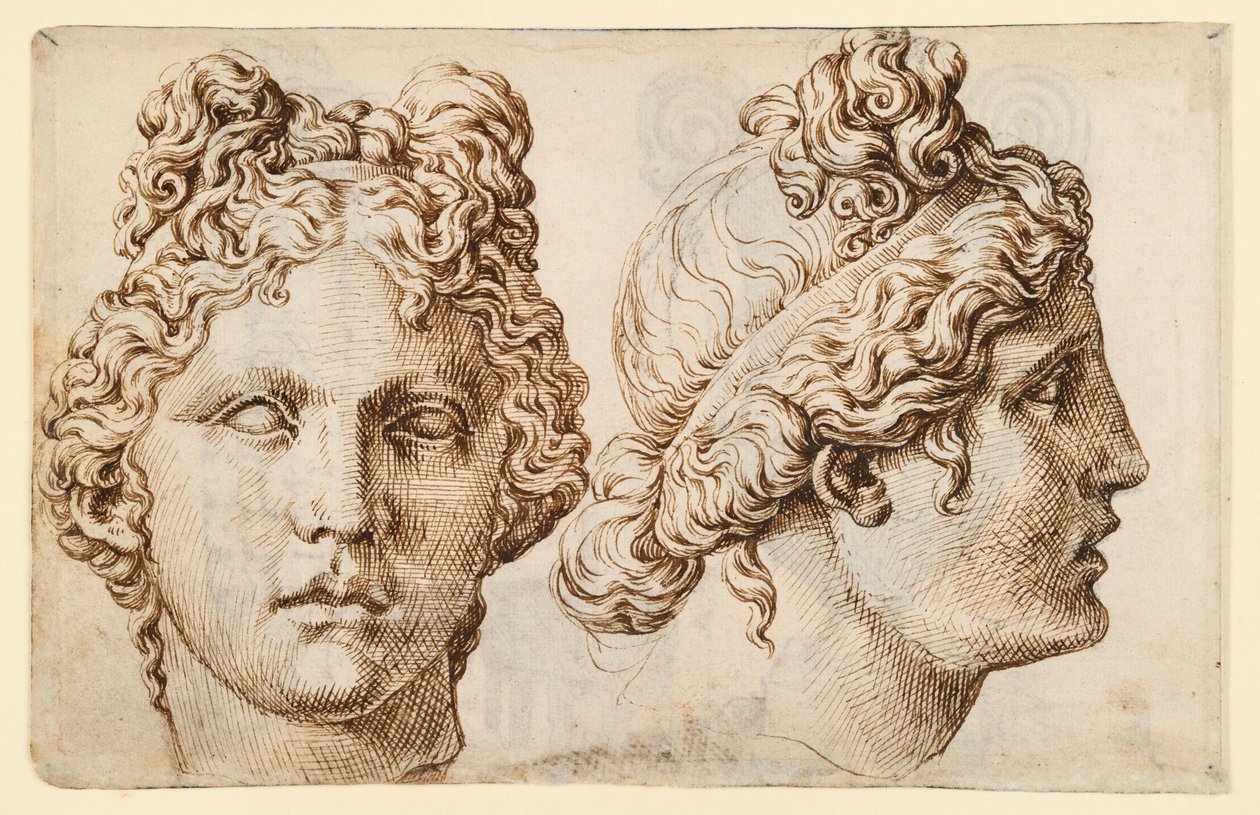 To studier af et antikt hoved af Maarten van Heemskerck