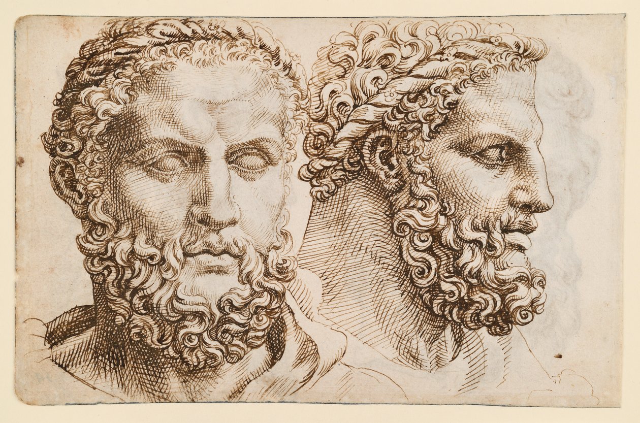 To studier efter hovedet af Vatikanets "Herkules" af Maarten van Heemskerck