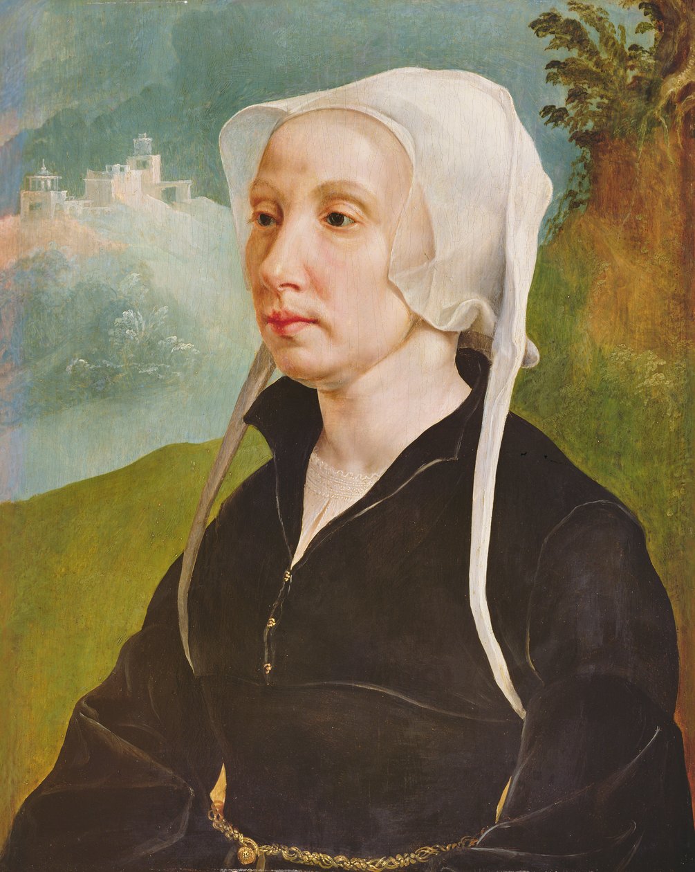 Portræt af en kvinde (olie på panel) af Maerten van Heemskerck