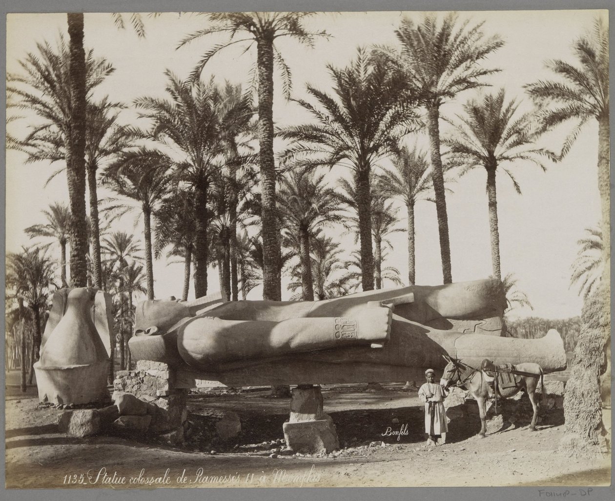 Liggende statue af Ramses II i Memphis, i forgrunden en dreng med et æsel Statue colossal de Ramesses II à Memphis (titel på objekt) af Maison Bonfils