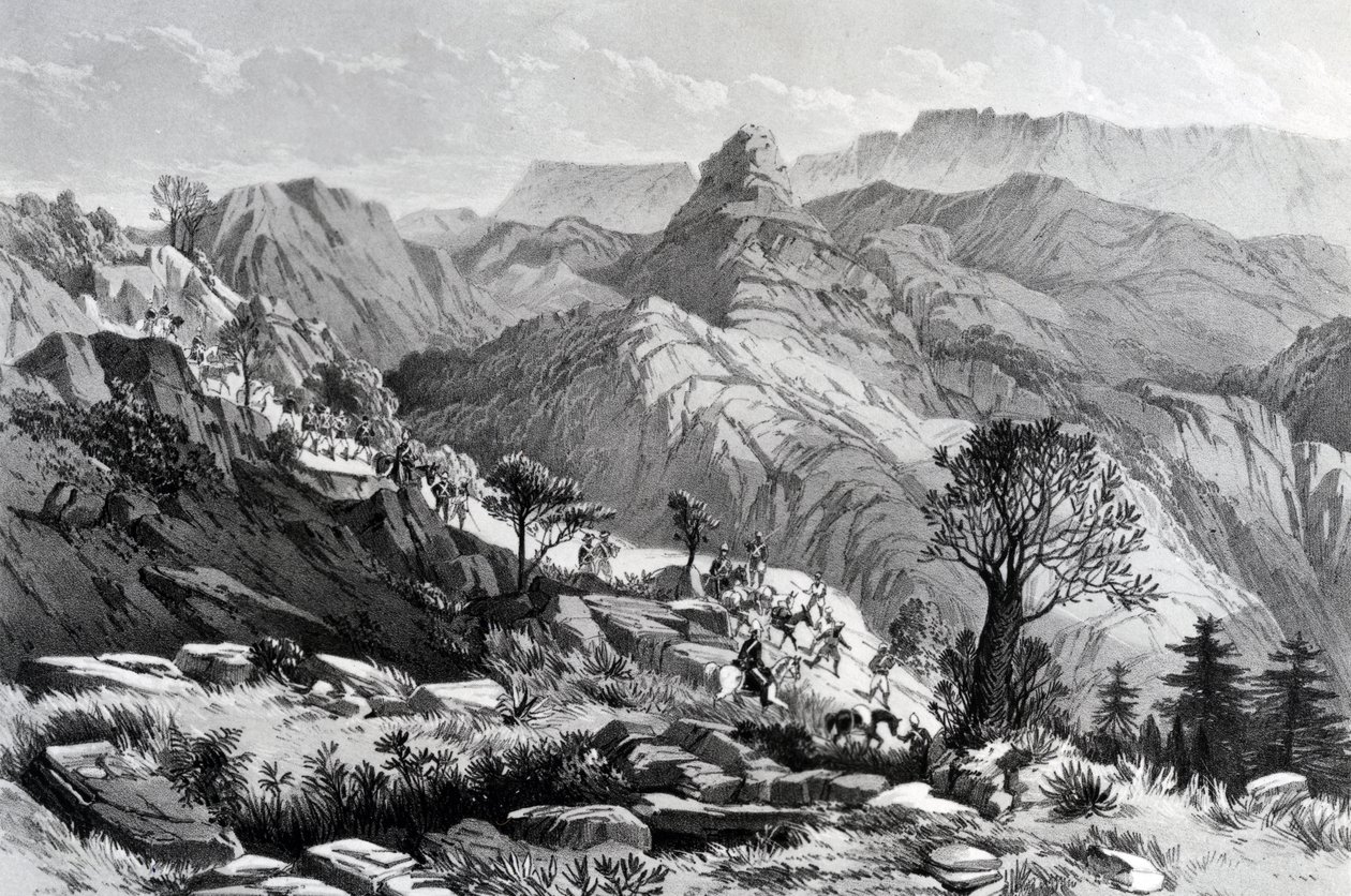 På marchen nær Dongolo, indgraveret af James Ferguson, 1868 af Major A.G.F. Hogg