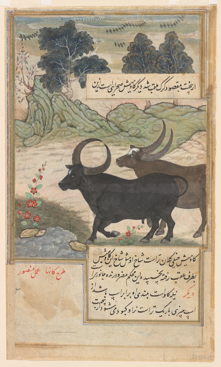 To blå tyre og to svinehjorte, fra en Baburnama, ca. 1589 (akvarel, blæk, guld på papir) af Mansur (fl.c.1590 1630)