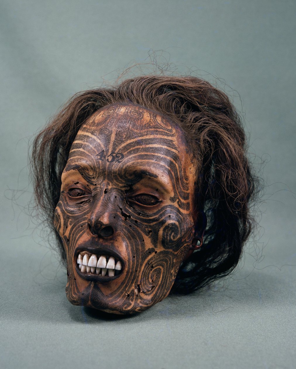 Stammechefens hoved, tatoveret og mumificeret, maori-civilisation af Maori Maori