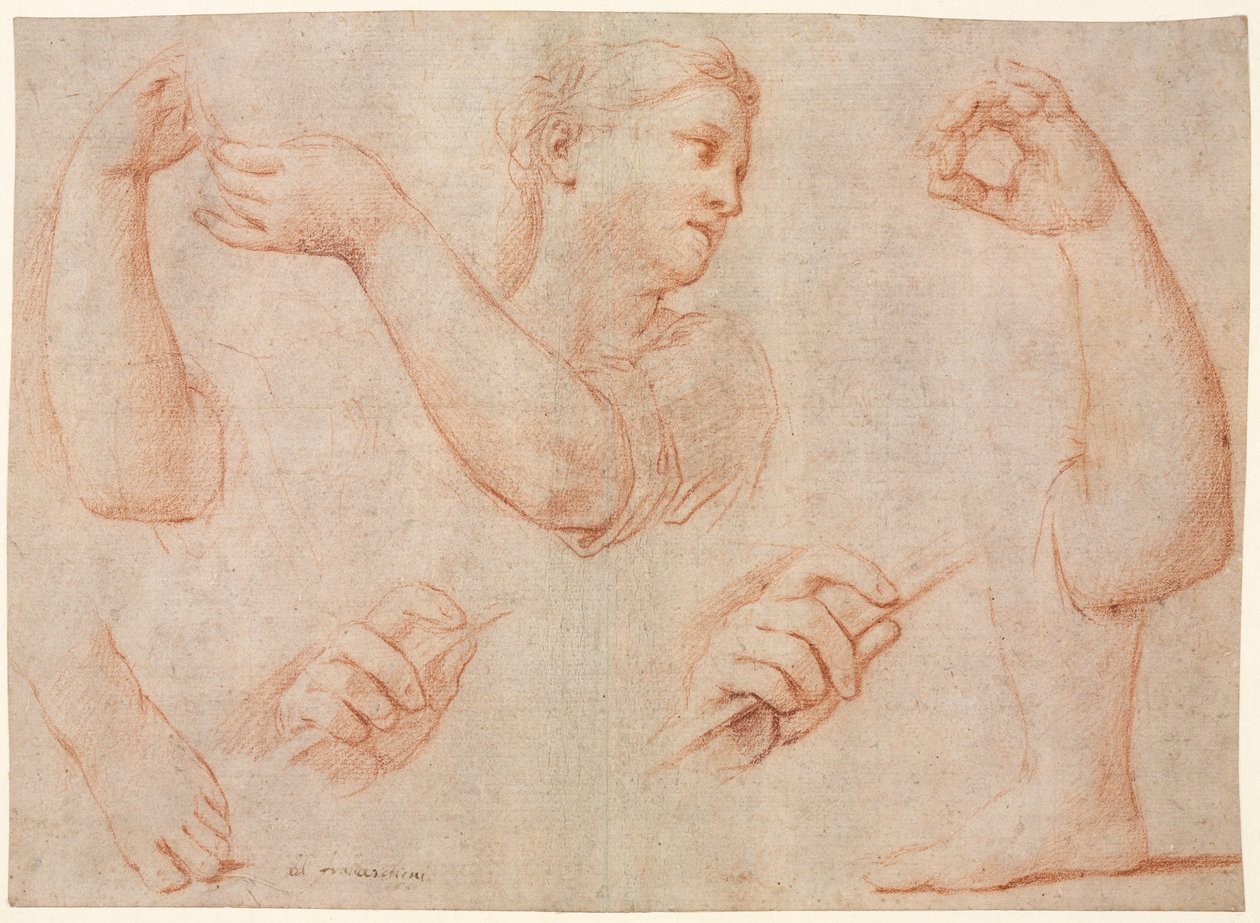 Studie af en ung kvinde, der spiller en tamburin, og studier af en arm, hænder og fødder..., ca. 1711. af Marcantonio Franceschini