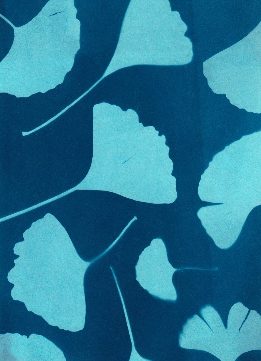 Ginkgo biloba 146, 2023 (cyanotypi, blandede medier) af Marco Campedelli