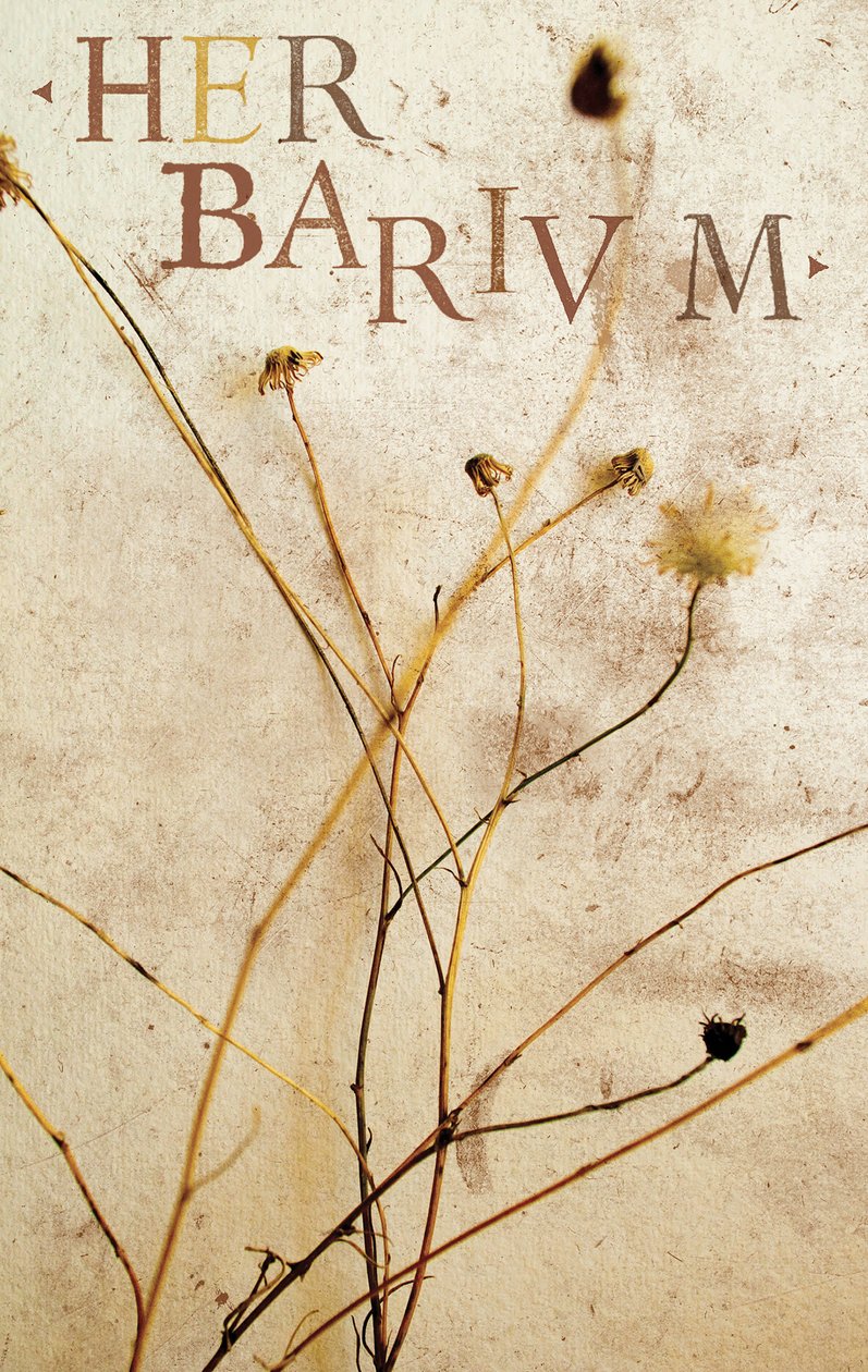 Herbarium, 2014 (blandede medier) af Marco Campedelli