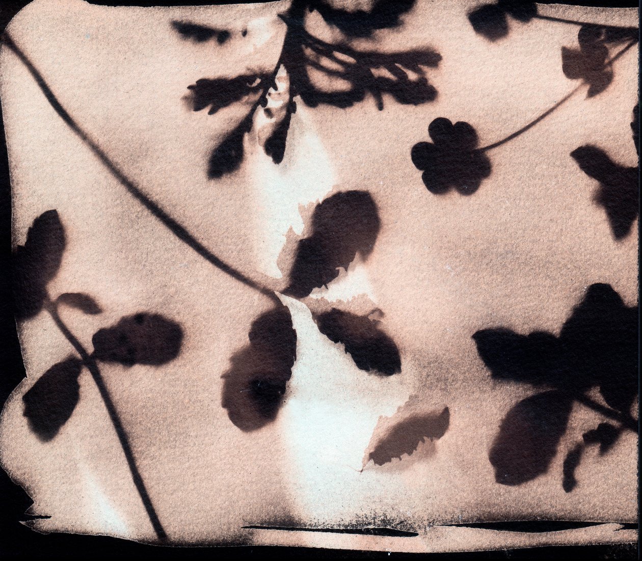 Nature, 2023 (cyanotypi, blandede medier) af Marco Campedelli