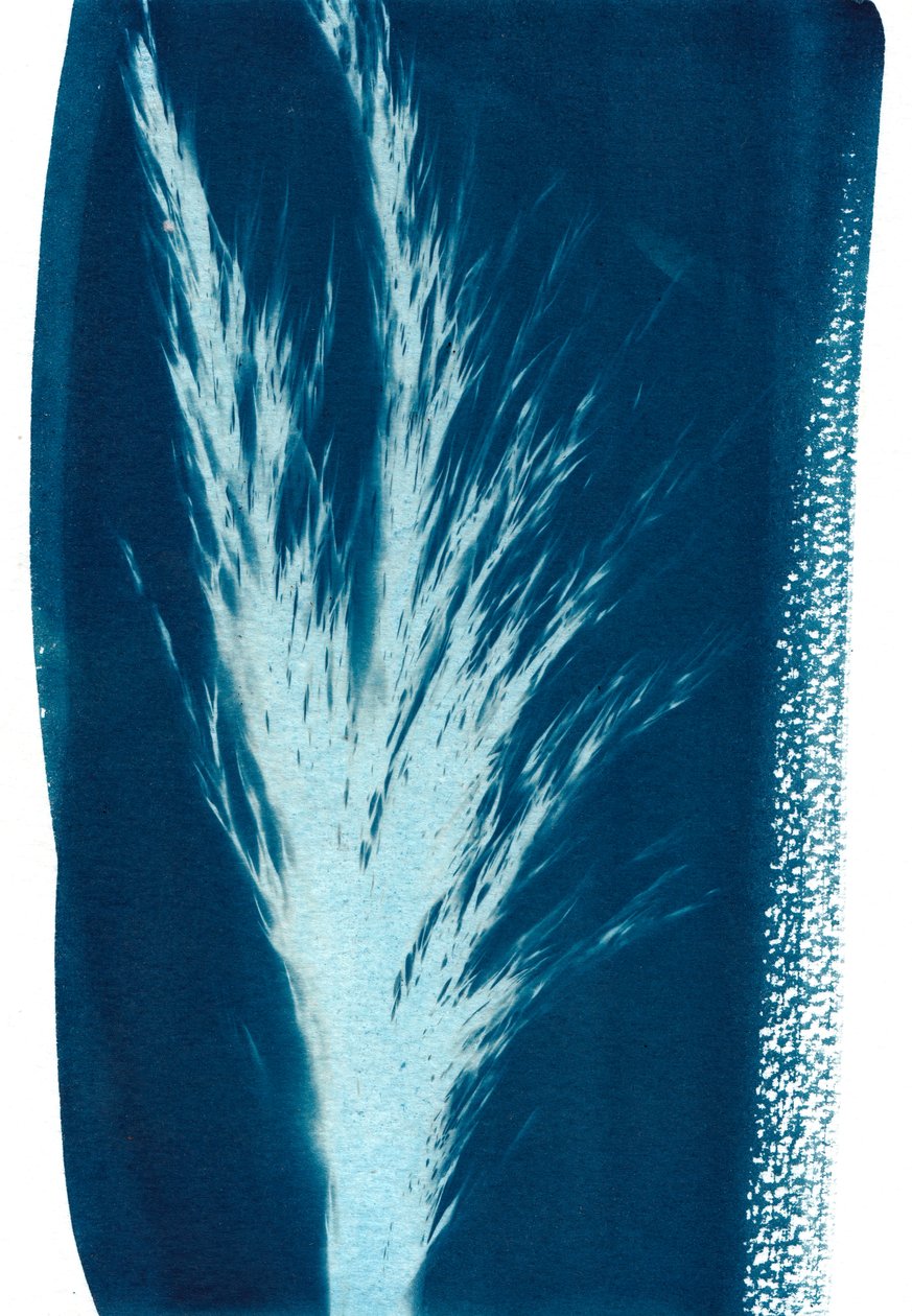 Spadseretur ved dammen, 2023 (cyanotype) af Marco Campedelli