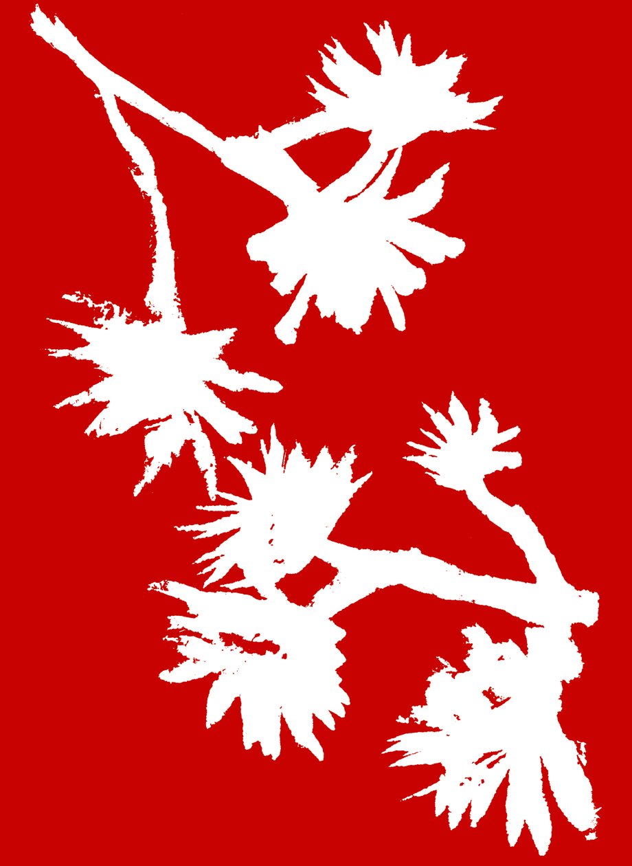 Succulent_1, 2022 (blæk på papir) af Marco Campedelli