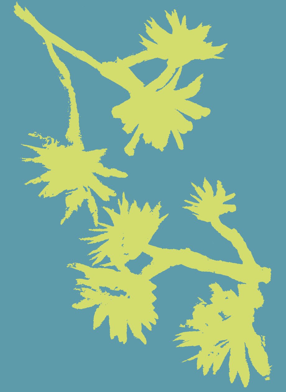 Succulent_2, 2022 (blæk på papir) af Marco Campedelli