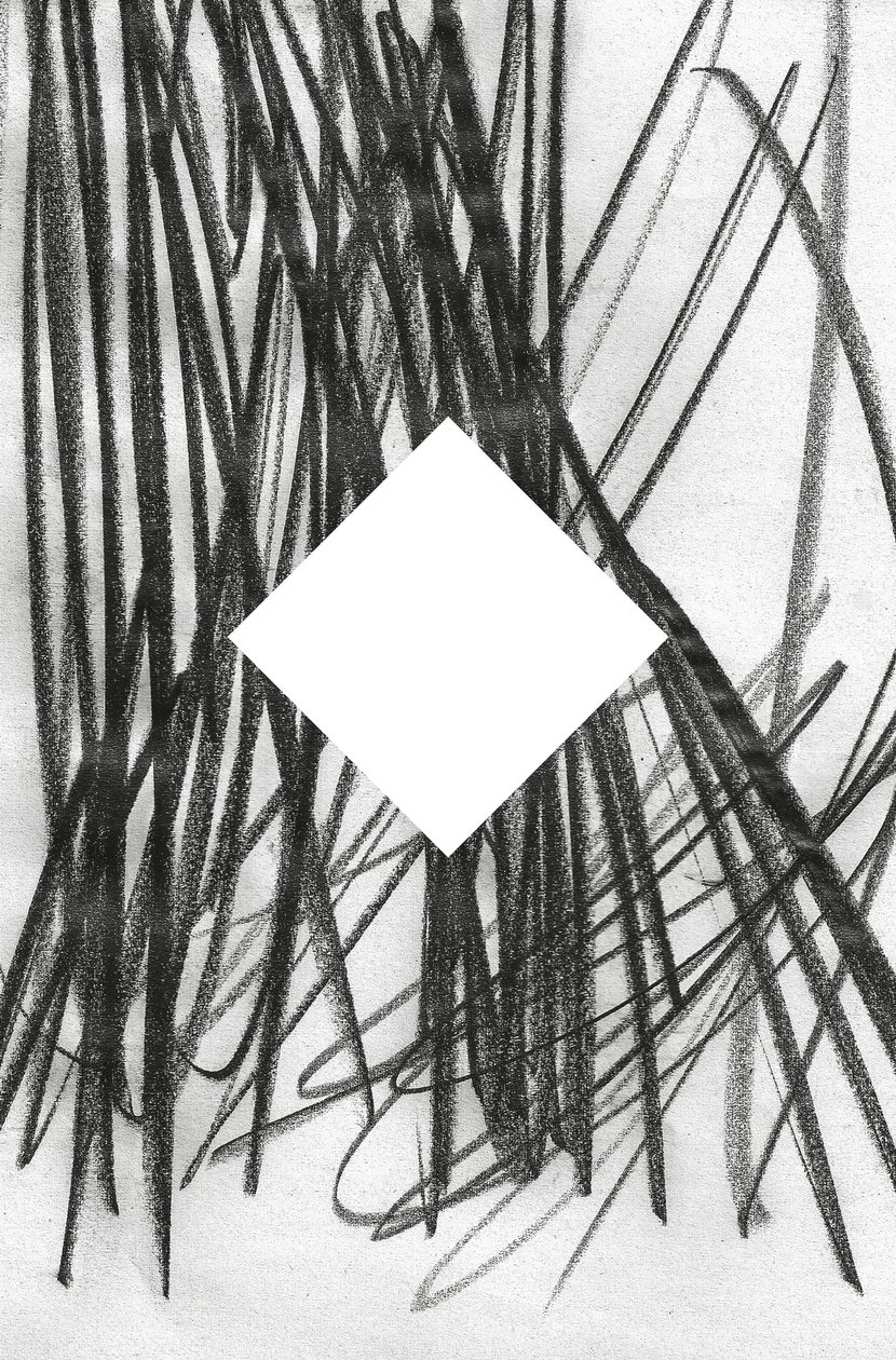Uden titel, 2014 (grafit på papir) af Marco Campedelli