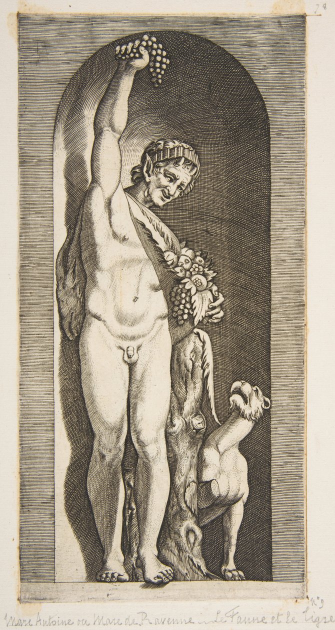 En faun, der står i en niche og holder en klase vindruer med højre hånd og ..., ca. 1515-27. af Marco Dente