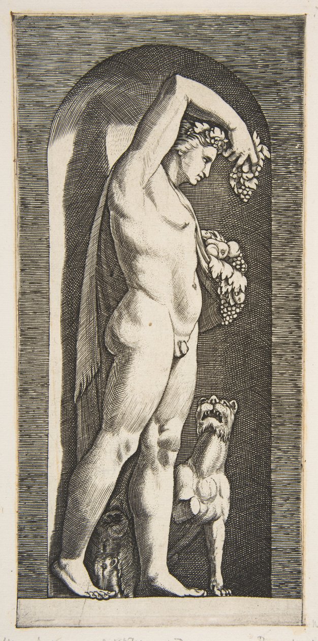 Bacchus stående i en niche med druer i sin løftede højre hånd, frugt i l..., ca. 1515-27. af Marco Dente