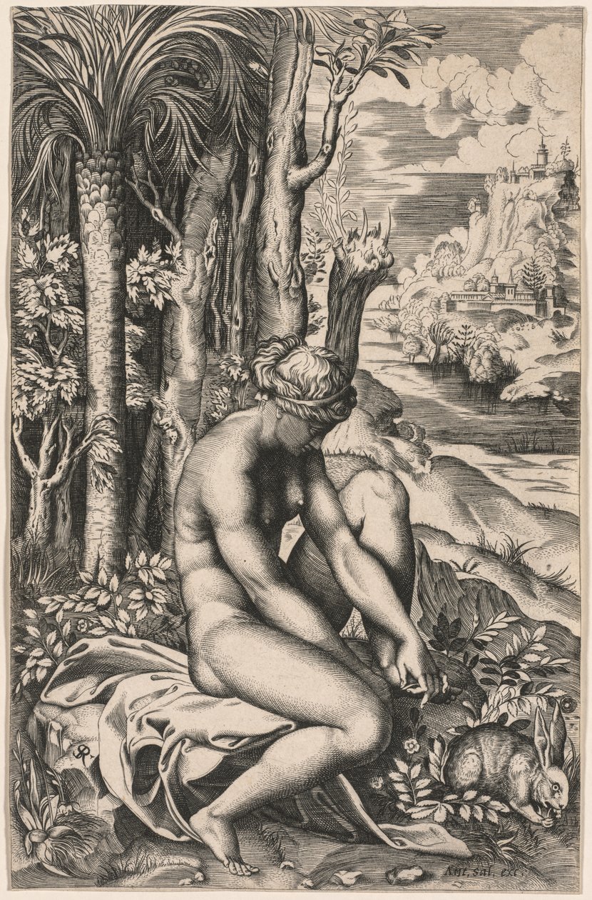 Venus såret af en rosentorn, ca. 1516. af Marco Dente