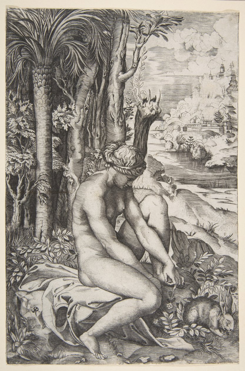 Venus fjerner en torn fra sin venstre fod, mens hun sidder på et klæde ved siden af træer, en ..., ca. 1515-27. af Marco Dente