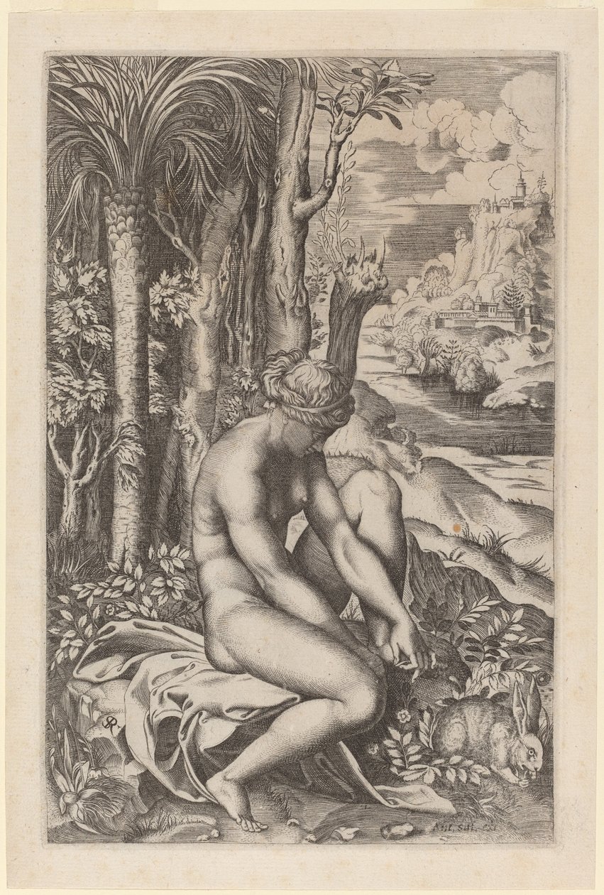 Venus trækker en torn ud af sin fod af Marco Dente after Raphael