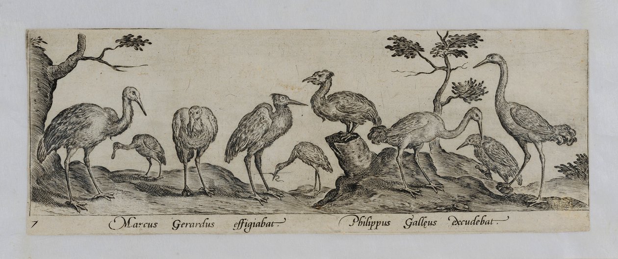 Gammel mestergravering af Marcus Gheeraerts