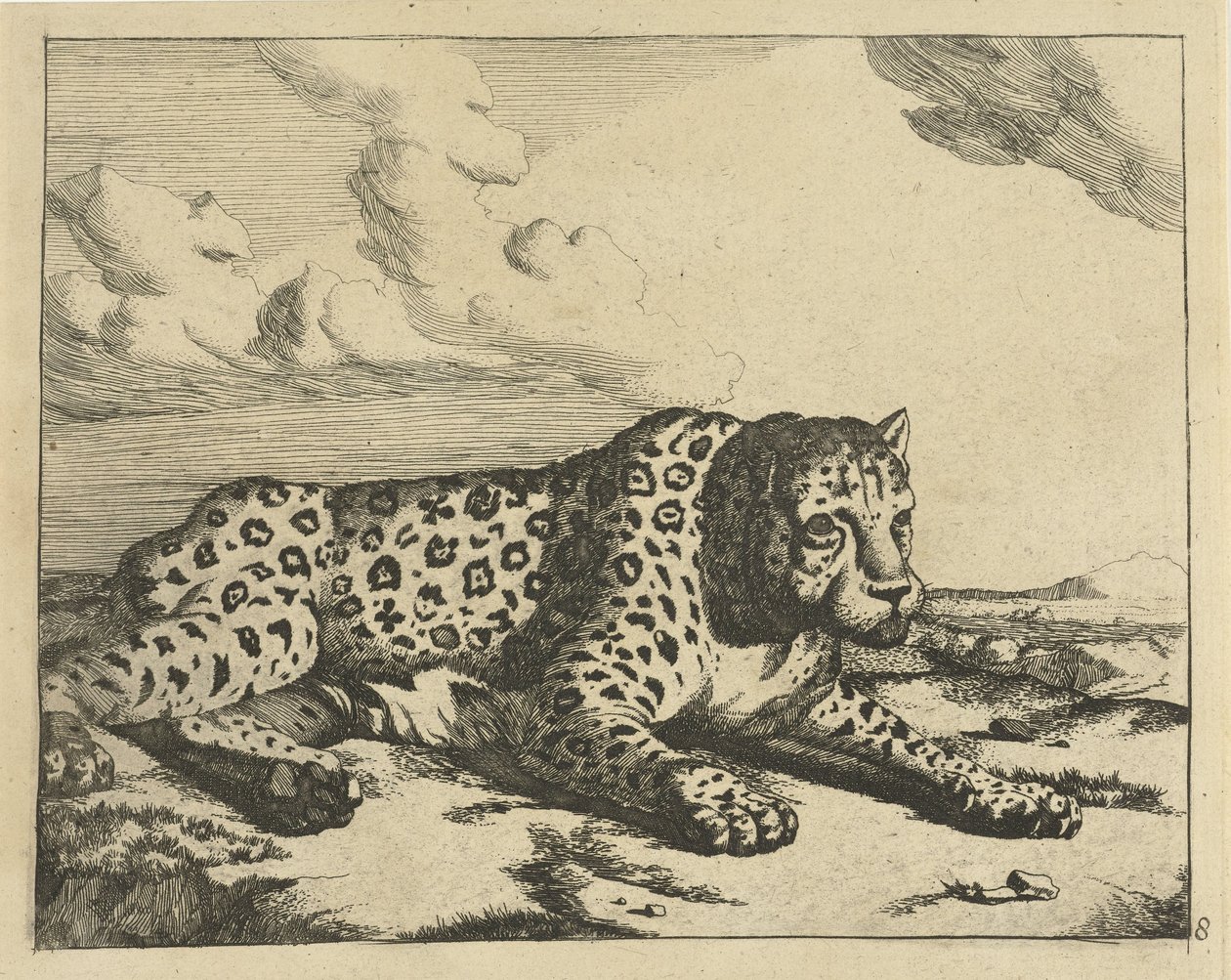 Leopard liggende til højre, poter til beskueren Leoparder (serietitel) af Marcus de Bye