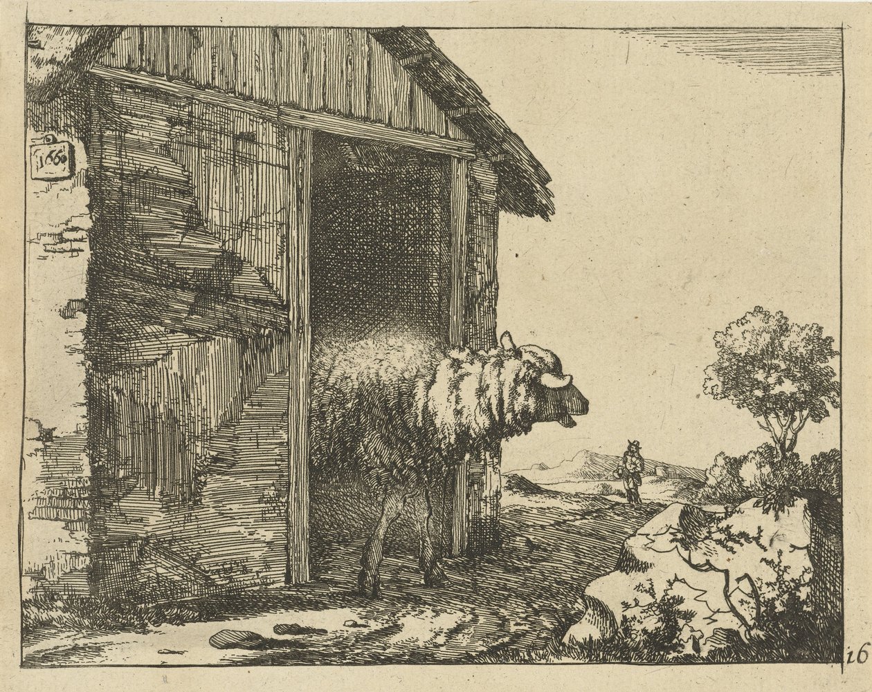 Schaap på Schaapskooi Får (serietitel) af Marcus de Bye