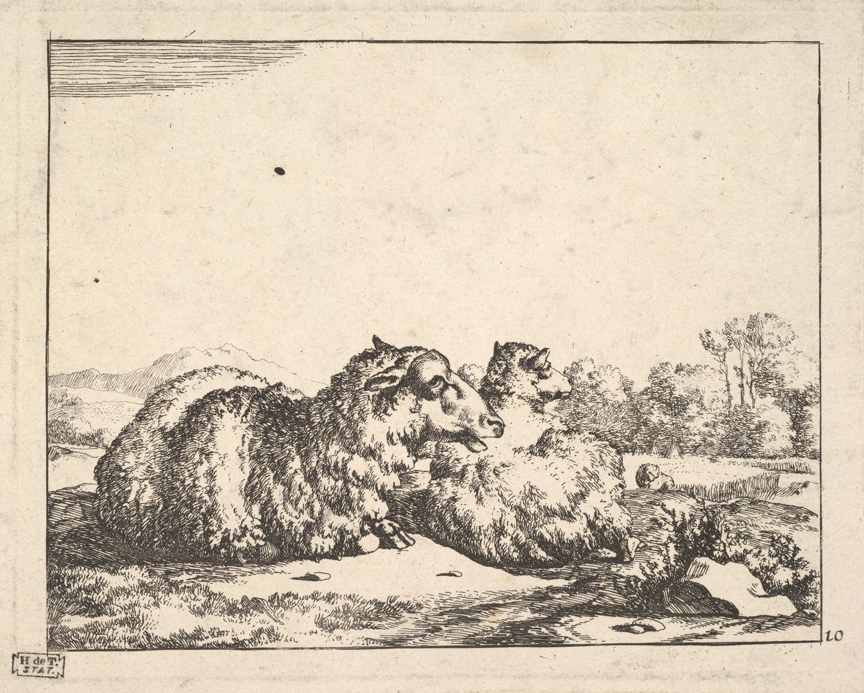Får, fra et sæt af 16 plader, 1664. af Marcus de Bye