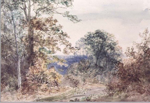 Landskabsstudie fra naturen af Margaret Sarah Carpenter