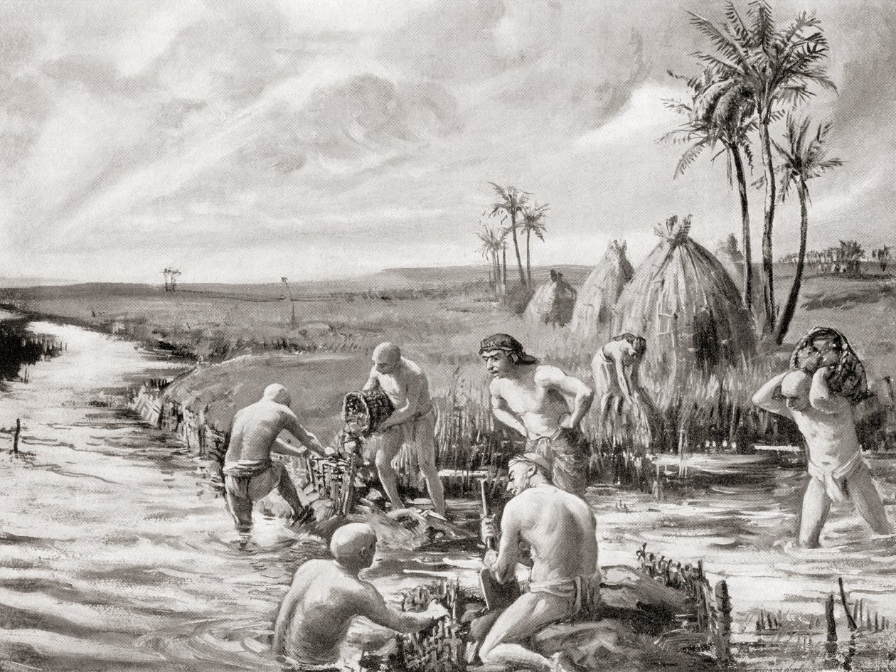 De første nybyggere i Babylonien drænede sumpene ved at bygge en dæmning, fra Hutchinson