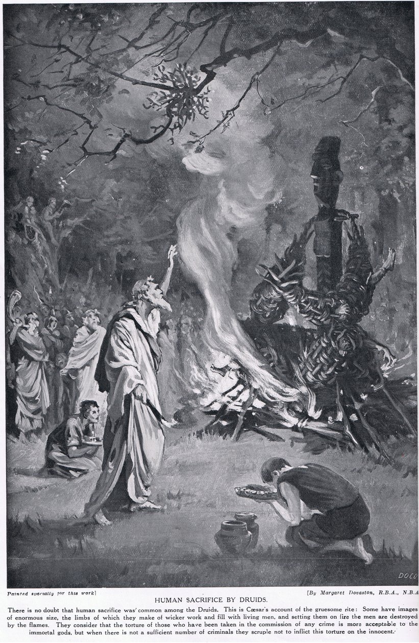 Druidernes menneskeofringer, illustration fra 