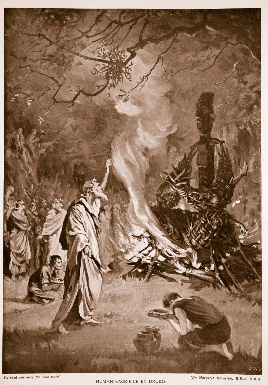 Druidernes menneskeofring, illustration fra 