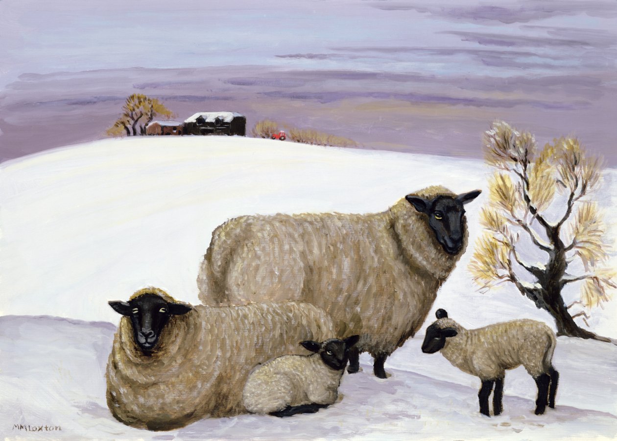 Får om vinteren af Margaret Loxton