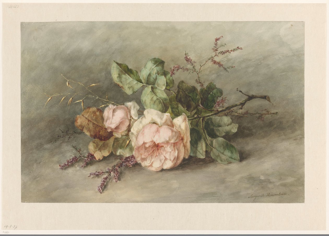 roser af Margaretha Roosenboom