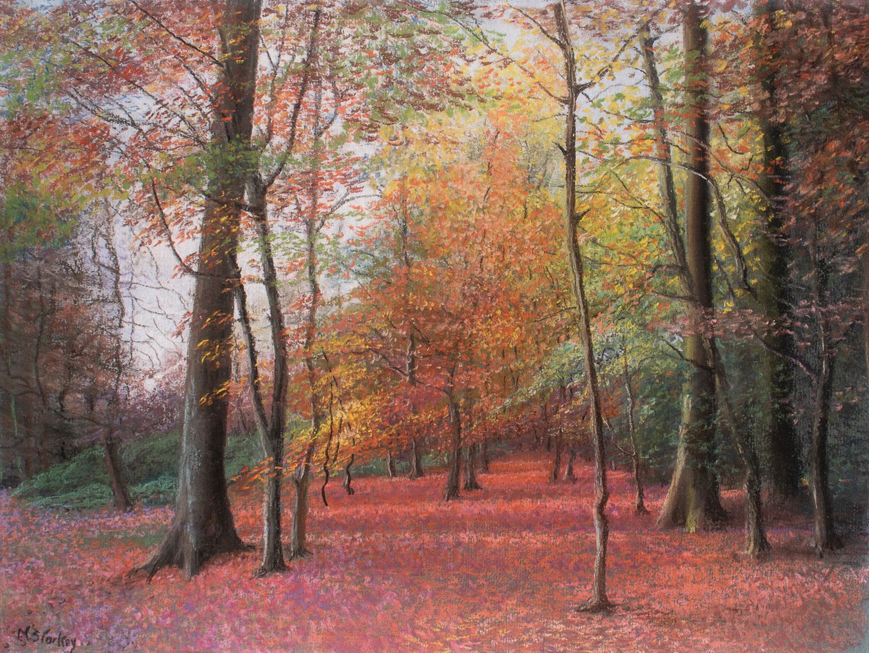 Autumn in the Woods, 1999 (pastel) af Margo Starkey