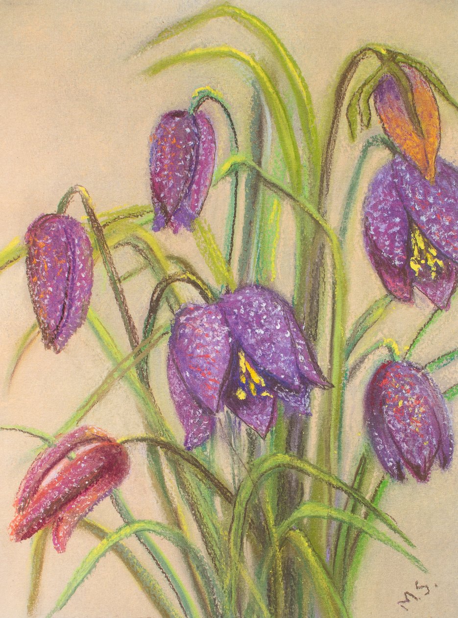 Bunch of Fritillaria, 2015 (pastel) af Margo Starkey
