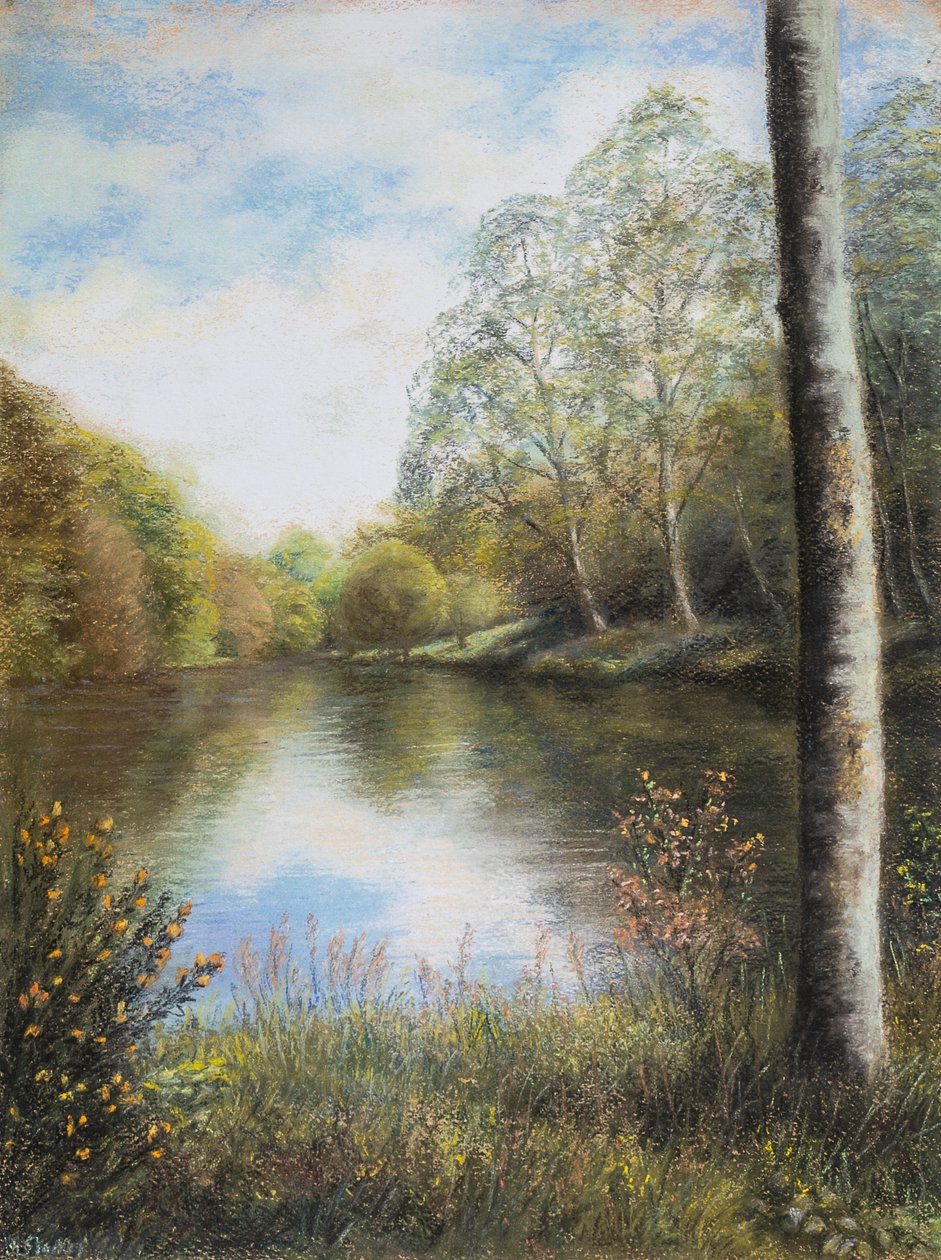 River Dart Devon af Margo Starkey