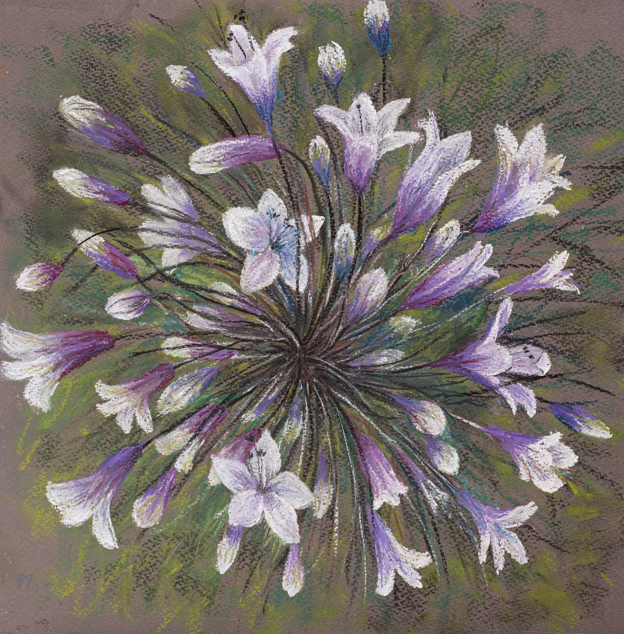 Allium-familien, 2020 (pastel) af Margo Starkey