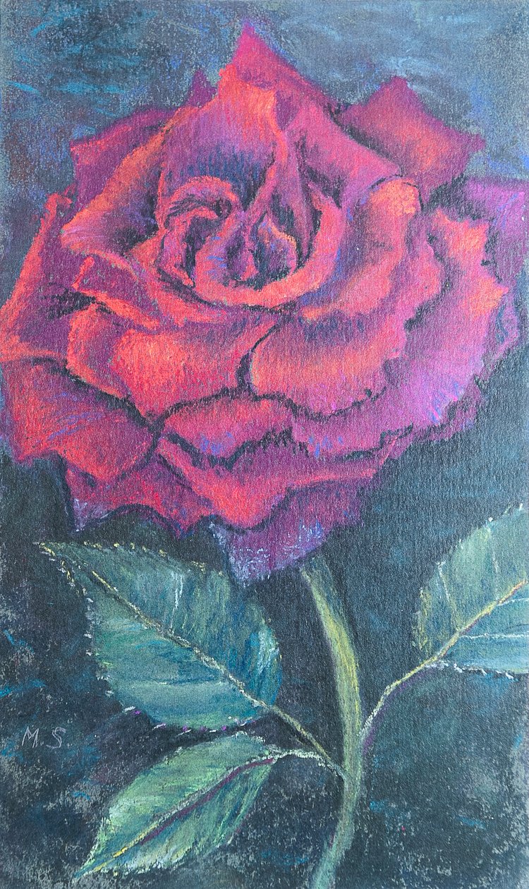 Beauty of the rose, 2020 (pastel) af Margo Starkey