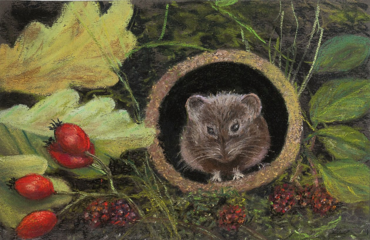 Markmus i afløbsrør, 2020 (pastel) af Margo Starkey