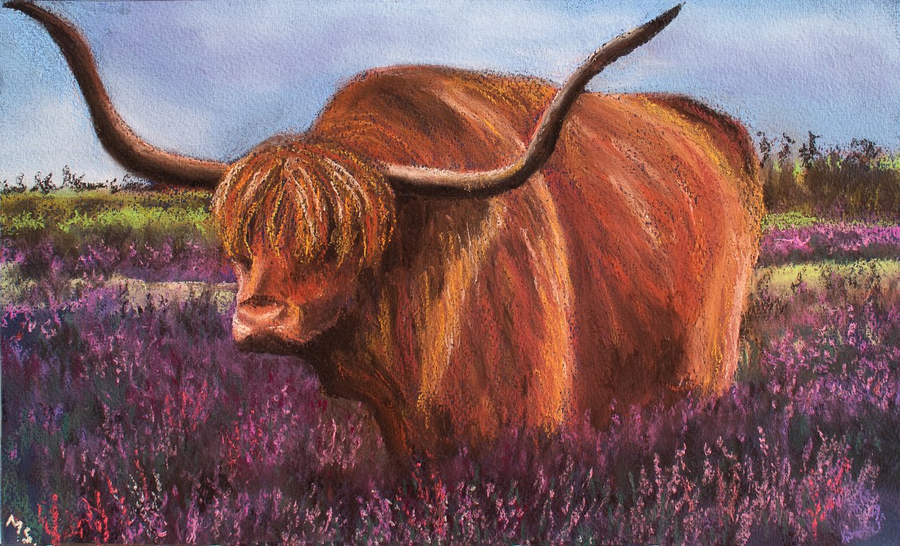 Highland Bull i Scottish Heather, 2018 (pastel) af Margo Starkey