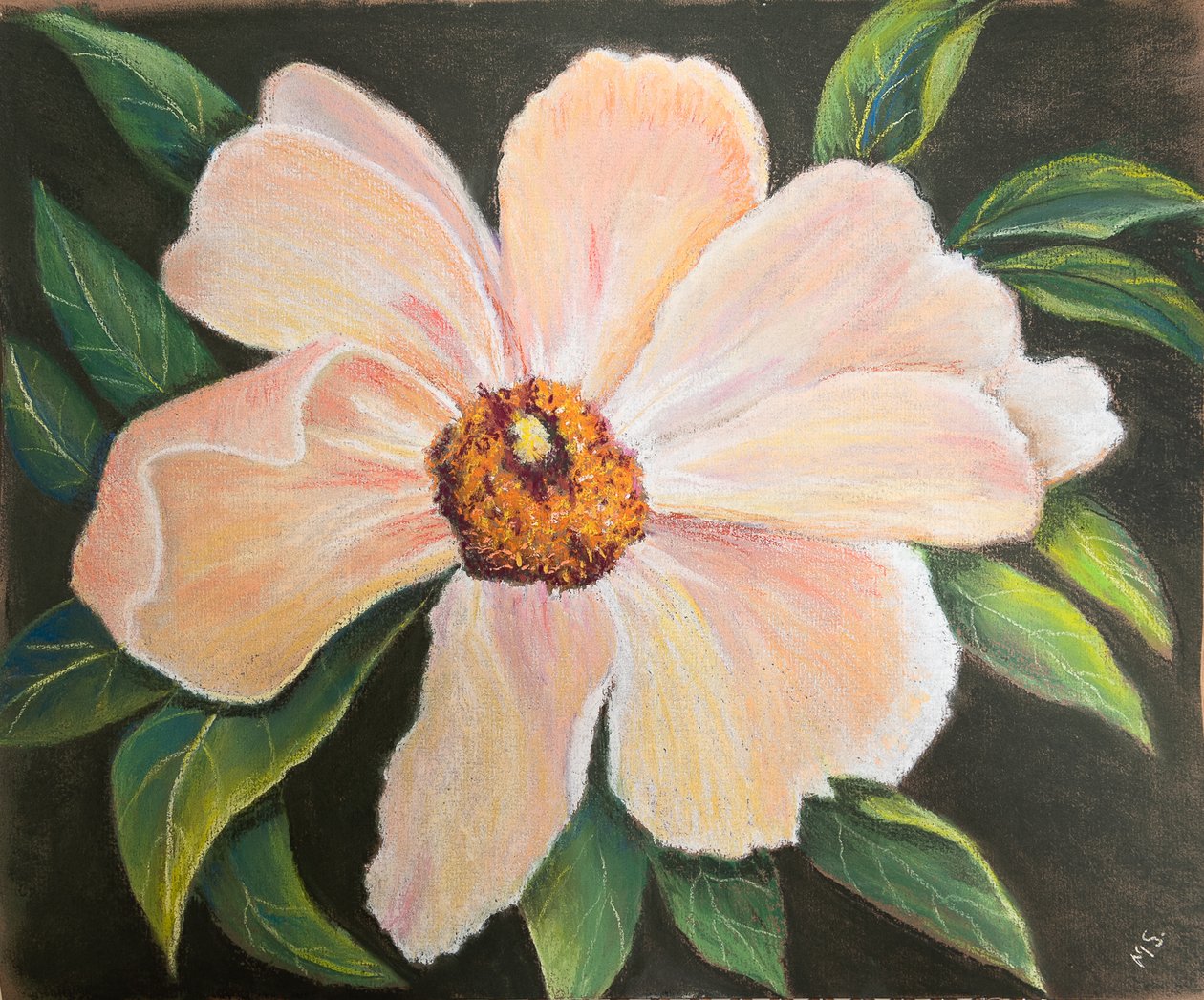 Stor pæon, 2022 (pastel) af Margo Starkey