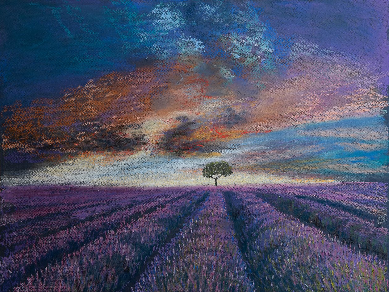 Lavendelmarker i Normandiet, 2020 (pastel) af Margo Starkey