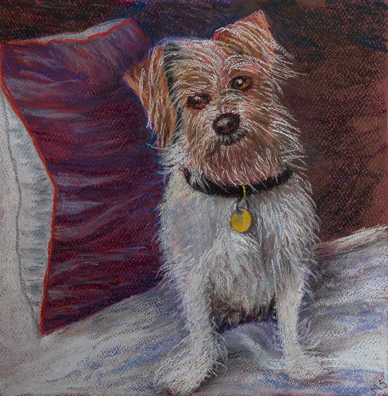 Min lille hund på silkepude, 2020 (pastel) af Margo Starkey