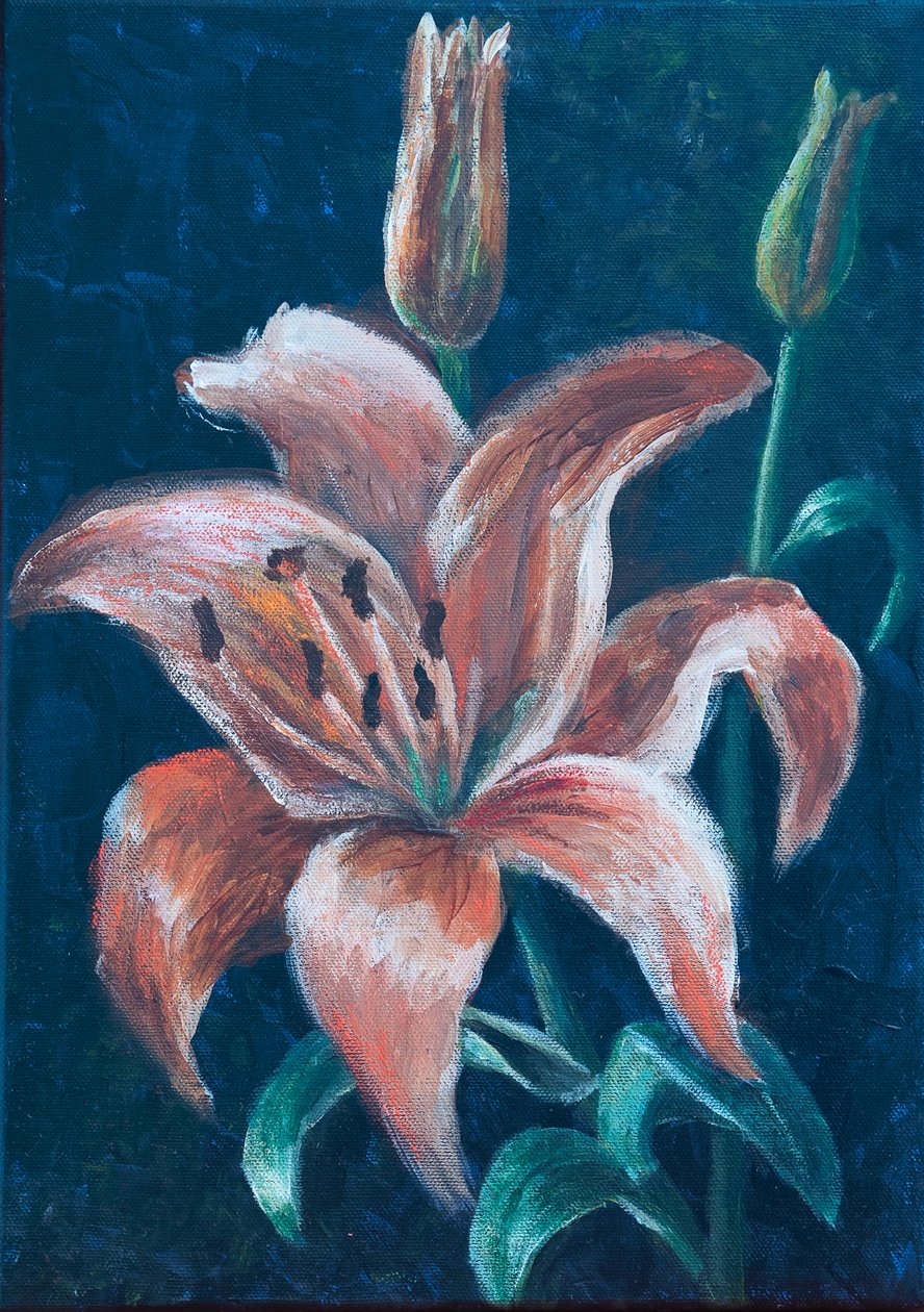 Orange Lily, 2022 (pastel) af Margo Starkey