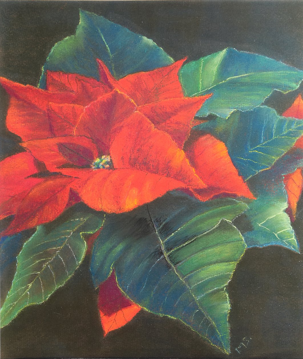 Julestjerne, 2022 (pastel) af Margo Starkey