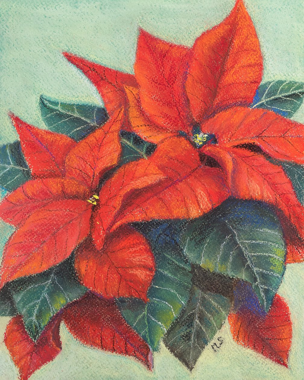 Julestjerne, 2022 (pastel) af Margo Starkey